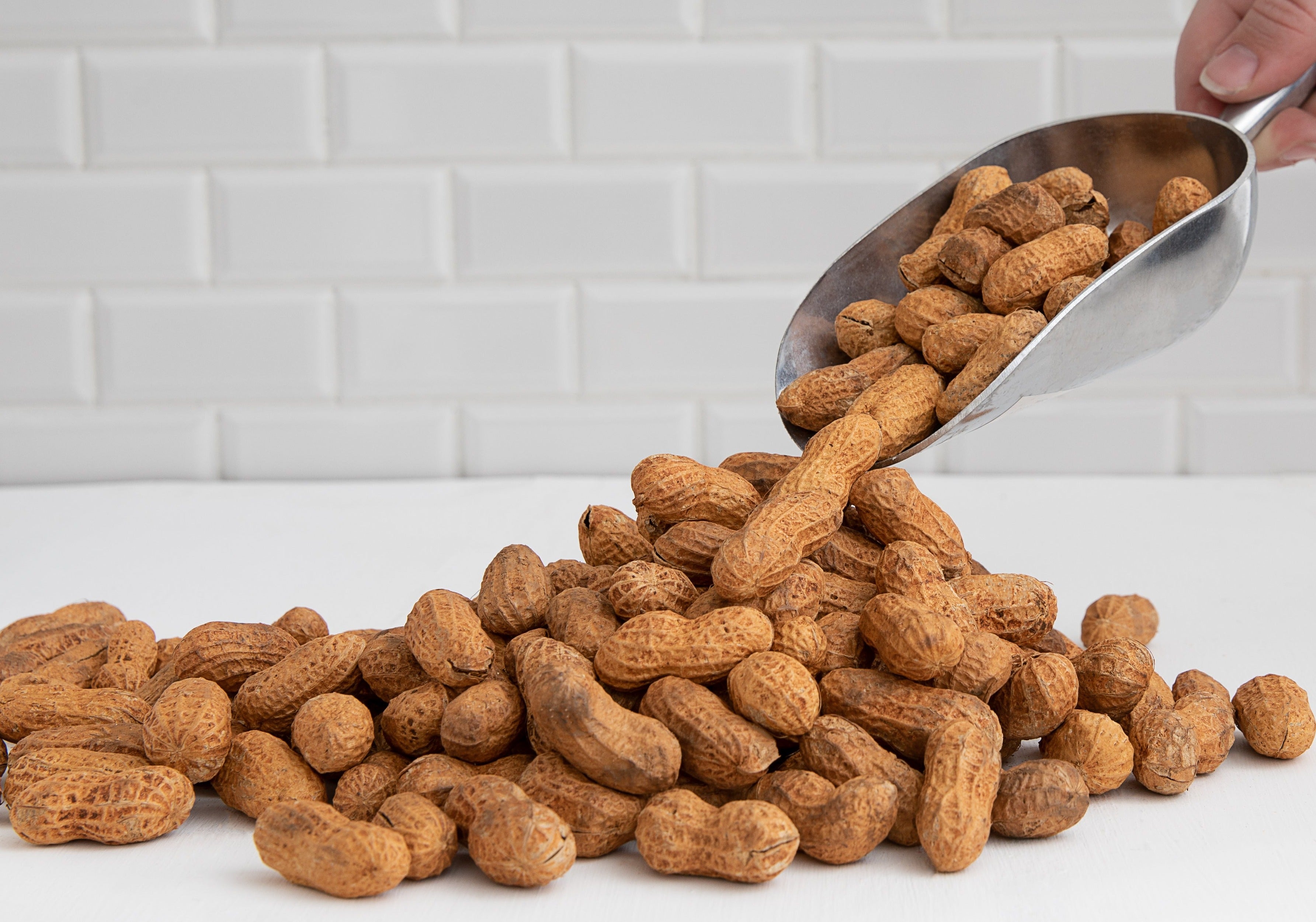 Roasted In Shell peanuts by The Peanut Van