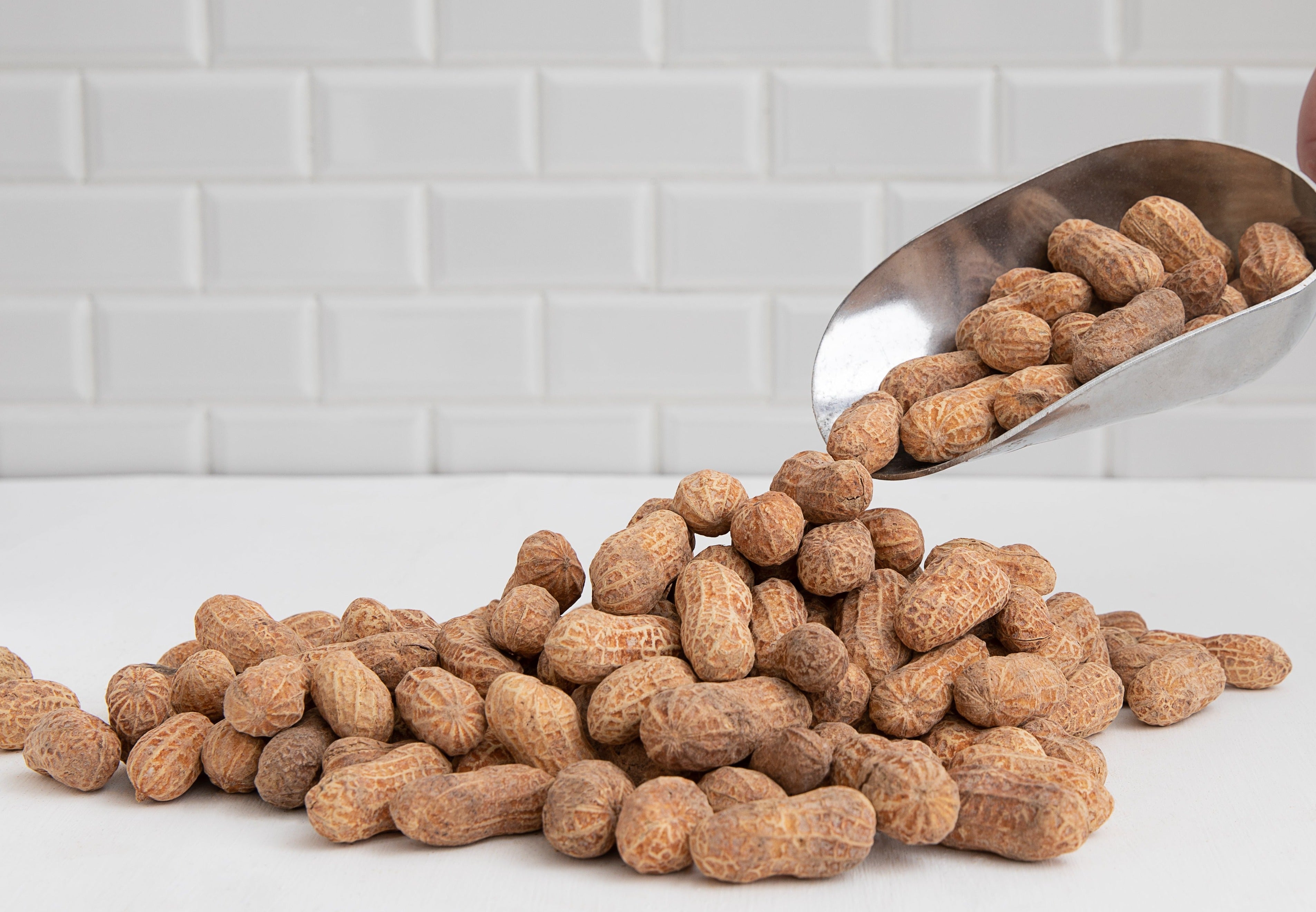 Salt Roasted In Shell peanuts by The Peanut Van, 1kg bulk bag